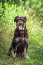 38148155_1733932113387960_5567738441367552000_o