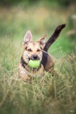 38179664_1733931763387995_469026766778793984_o