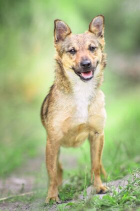 38230745_1733931180054720_3155857336770232320_o