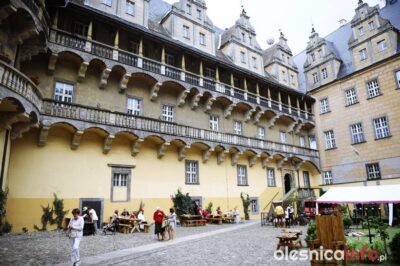 Kto powinien przejąć oleśnicki zamek? Czy miasto będzie stać na jego utrzymanie?