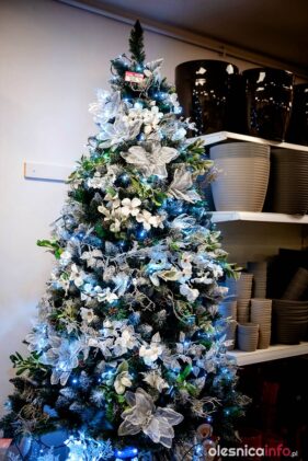 krew20181203-75X_1081