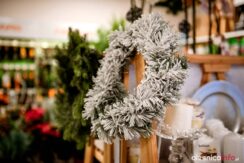 kwiaton20181203-75X_1091