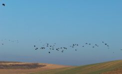 46120930_2212549649034085_4960738001983373312_o