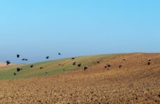 46157159_2212549732367410_6699922173127032832_o