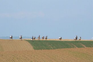 46798824_2219674118321638_880260019830915072_o