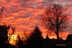 47574987_2226369444318772_5842467334421217280_o