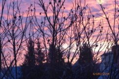 47579237_2226369847652065_7556140619597348864_o