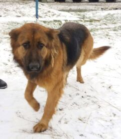 49899107_1950729368374899_399357762967961600_n