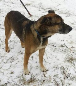 50224131_1950729365041566_1007416241775706112_n