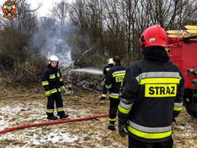 Strażacy gasili podpalone gałęzie i krzaki [ZDJĘCIA]