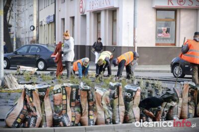 Miejska zieleń dla Wiesława Niedzielskiego. Na co zostanie przeznaczony blisko milion?