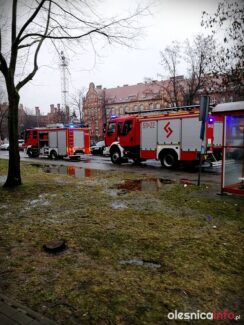 51523150_374095686708074_3615693680989437952_n