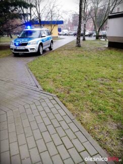 51620059_844863532521078_5057773364878245888_n