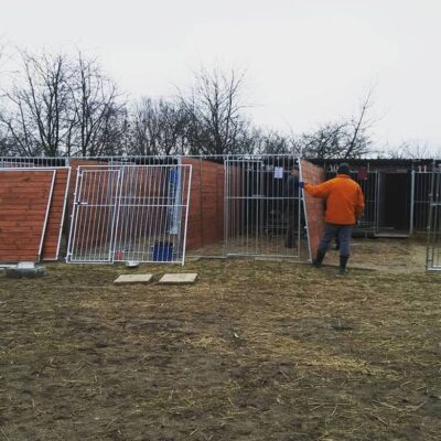 Fundacja: Nowe wybiegi to lepszy komfort dla  naszych psów