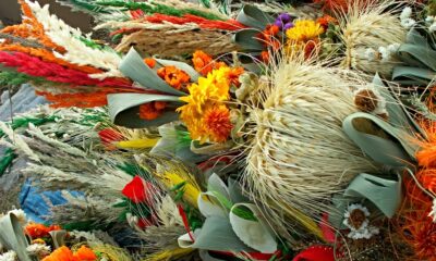 BiFK zaprasza dzieci i dorosłych do  udziału w konkursie