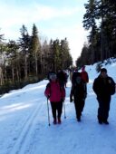 pilka_reczna_52461610_2076768069055387_3518431552411271168_n