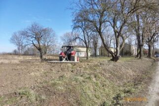 pilka_reczna_52609117_2276303639325352_5210564335352414208_n