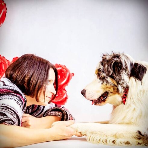 51806576_785004915193073_7722203227994718208_n