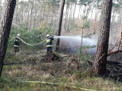 Pierwszy pożar w lesie. Na szczęście niegroźny