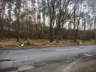 53934042_1017336801792420_2819233313531625472_o