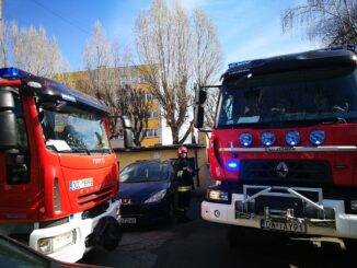 54520517_309930229692742_9155491431656194048_n