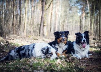 54731283_804161046610793_7011803808896385024_o