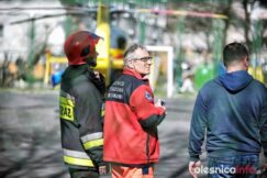 LPR_Zeromskiego_700_8384-20190324