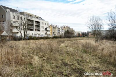 Oleśnicki deweloper przygotowuje się do budowy 67 szeregówek