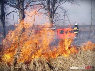 Bierutowscy strażacy interweniowali przy pożarach traw