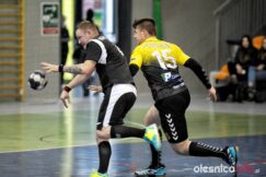 SPR_Olesnica_Lwowek_Slaski_700_9064-20190330