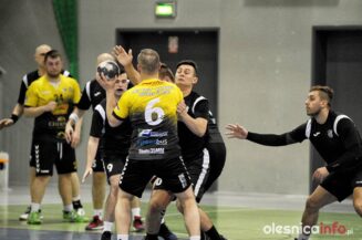 SPR_Olesnica_Lwowek_Slaski_700_9067-20190330