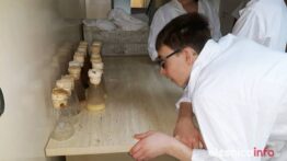 SP_Sokolowice_55491762_385648522042992_5710355763893895168_o-20190325