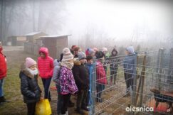 dzien_kobiet_Dobrzen_53192375_847827412245216_5977193955916251136_n