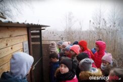 dzien_kobiet_Dobrzen_53316616_847827465578544_6391784559133851648_n