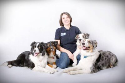 Nie wystarczy wziąć psa ze schroniska. Psa trzeba jeszcze wychować