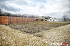 olesnickie_bidy_700_6818-20190314