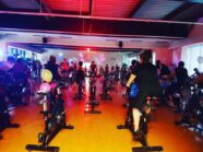 pilka_reczna_53117901_2251629998256427_3629325061078384640_n