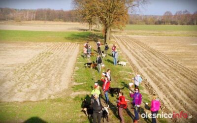 Brakuje jeszcze 89 tys. zł. Pomożecie zebrać całą kwotę i uratować ośrodek dla zwierząt?