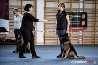 psy_posluszenstwo_700_8167-20190324