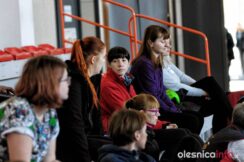 psy_posluszenstwo_700_8182-20190324