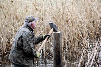 strajk_54514419_1187525768091815_478676999947157504_o