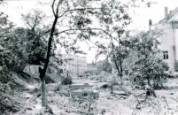 strajk_IMG_20130923_0081