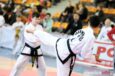 Turniej Taekwon-do Master Cup Oleśnica