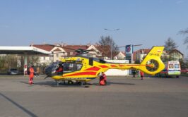 57012546_781332195583076_3842720163287793664_n