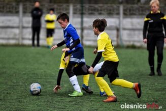 APO_Olawa_75X_5800-20190413