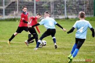 APO_Parasol_mlodzik_700_1443-20190427