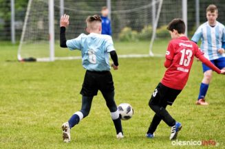 APO_Parasol_mlodzik_700_1457-20190427