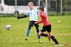 APO_Parasol_mlodzik_700_1458-20190427