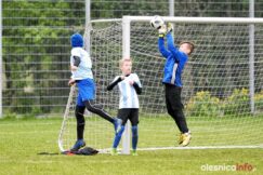 APO_Parasol_mlodzik_700_1459-20190427