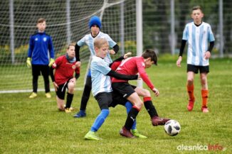 APO_Parasol_mlodzik_700_1460-20190427